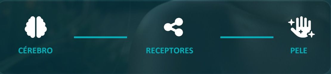 Conexão pele e cérebro